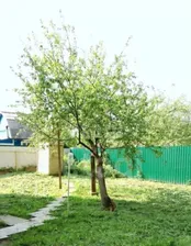 Продам дом 64.0 м² на участке 6.0 сот этажей 2 город Обнинск садовое некоммерческое товарищество Березка