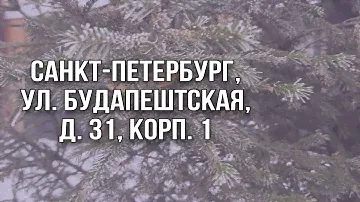 Продажа квартиры: Санкт-Петербург, ул. Будапештская, д. 31, корп. 1. Видео от собственника.
