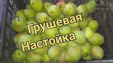 Грушевая настойка - вкусная настойка на сочной груше 🍐🍷🍐