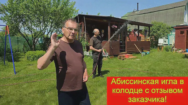 Березки с желтыми абиссинскими фонтанами! Абиссинская игла в колодце 24 К