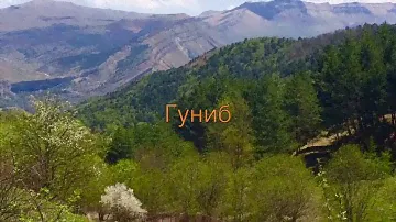 Гуниб гостевой дом Березка