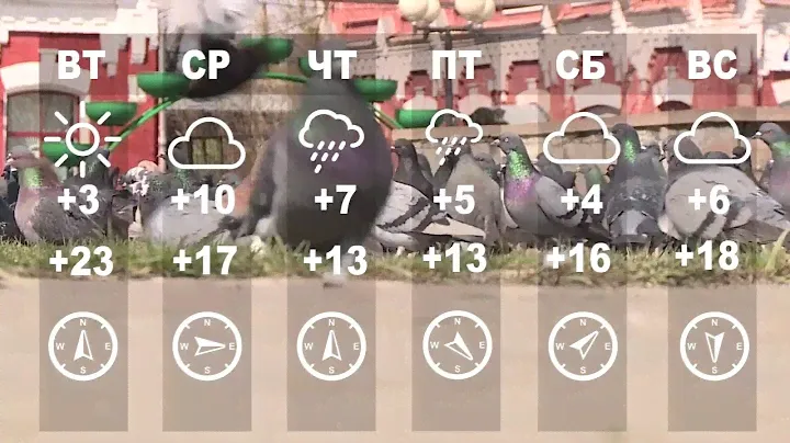 Погода на неделю