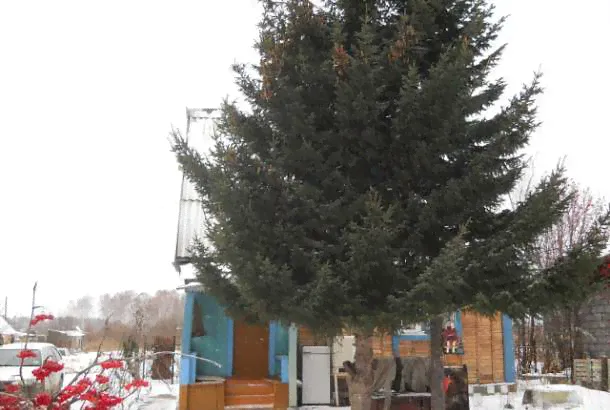 продам дачу, СНТ Березка 14 км. по Новокузнецкой трассе-1