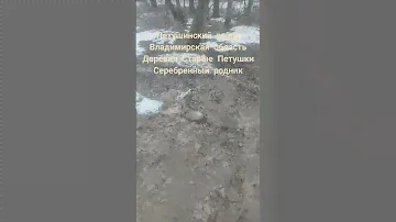 Владимирская область деревня Старые Петушки СНТ Родник Серебряный Родник