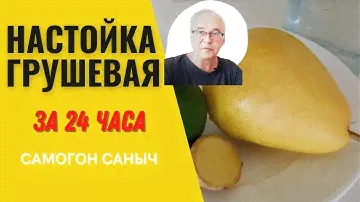 Как приготовить грушевую настойку за 24 часа? Домашняя настойка из груши на водке, самогоне.