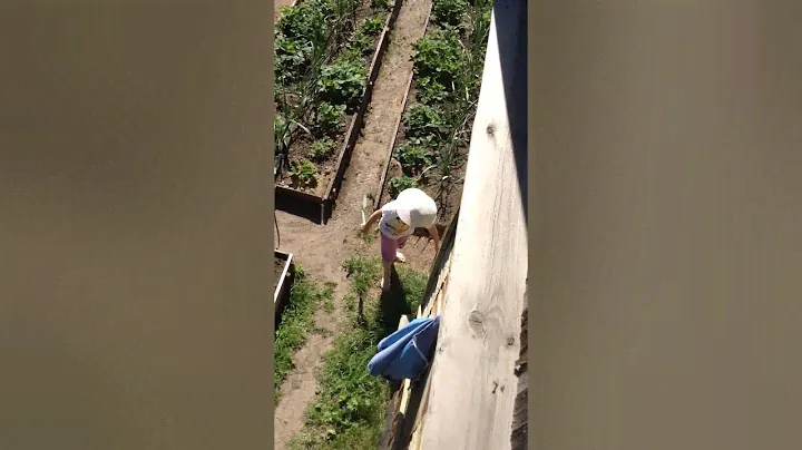 IPad  Сад в СНТ "Березка""
